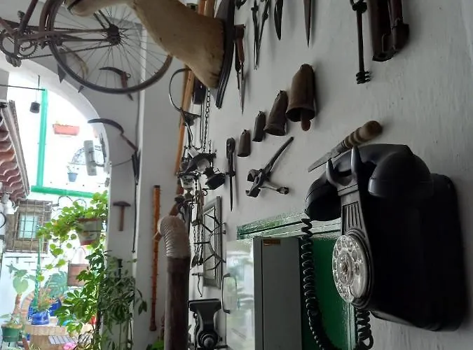 Casa Museo Jerez Centro Apartment