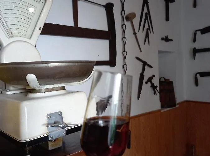 Casa Museo Jerez Centro * Jerez de la Frontera