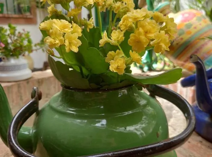 Apartment Casa Museo Jerez Centro