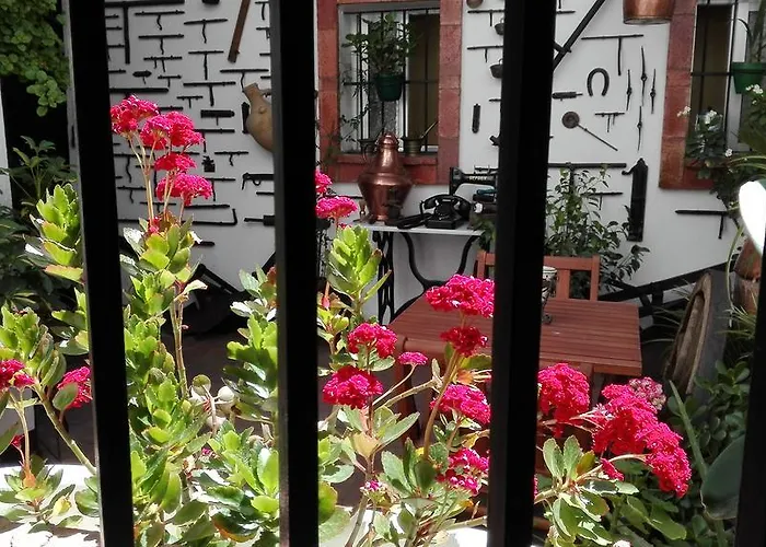 Apartment Casa Museo Jerez Centro *