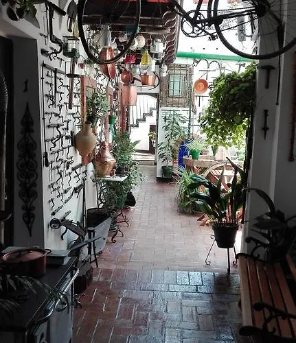 Casa Museo Jerez Centro * Jerez de la Frontera