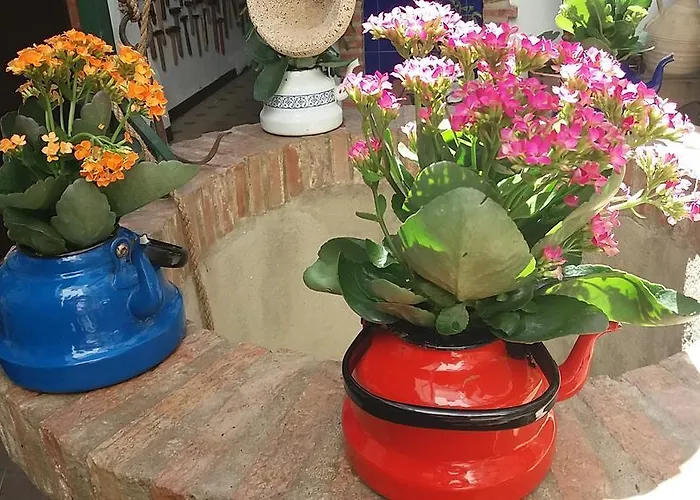 Casa Museo Jerez Centro Apartment