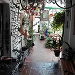Casa Museo Jerez Centro * Jerez de la Frontera