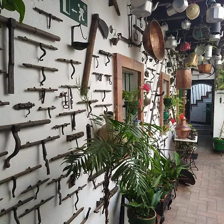 아파트 Casa Museo Jerez Centro 헤레스