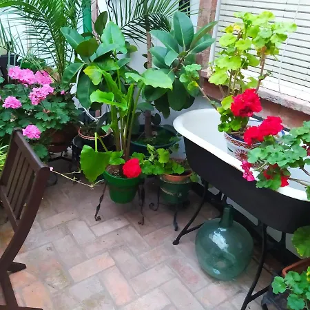 公寓 Casa Museo Jerez Centro *