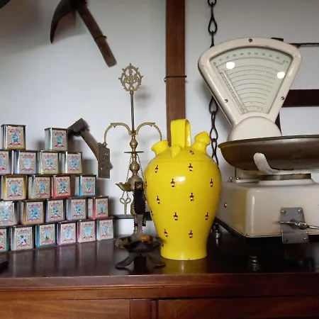 公寓 Casa Museo Jerez Centro 赫雷斯