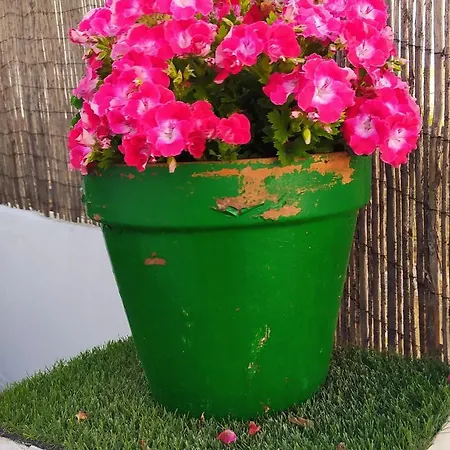 Casa Museo Jerez Centro *