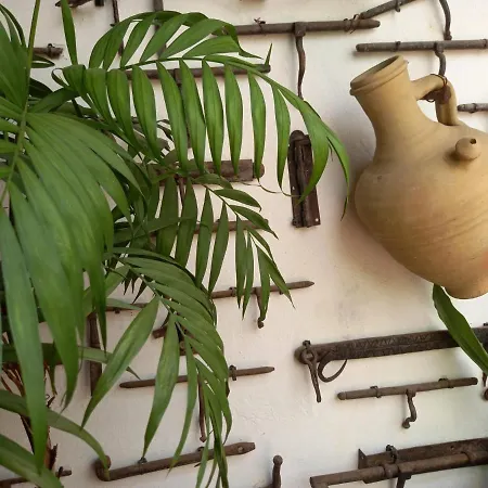 Casa Museo Jerez Centro 公寓 赫雷斯