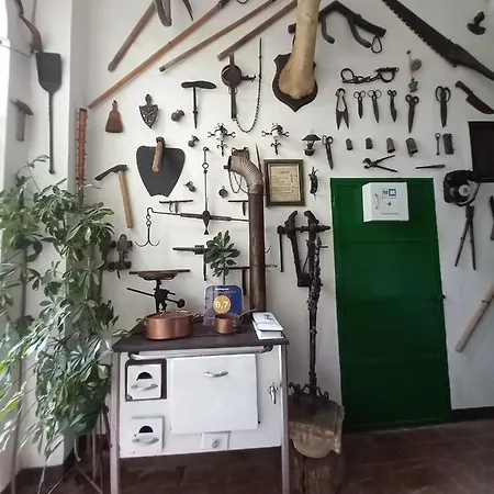 Casa Museo Jerez Centro 公寓 赫雷斯