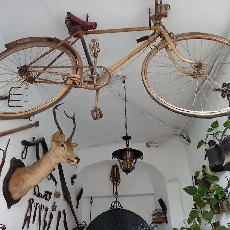 Appartamento Casa Museo Jerez Centro Jerez de la Frontera