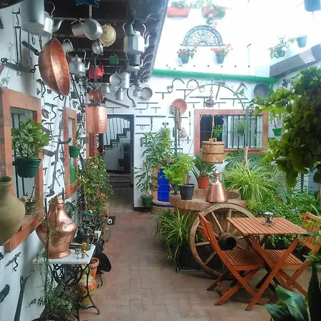 公寓 Casa Museo Jerez Centro 赫雷斯