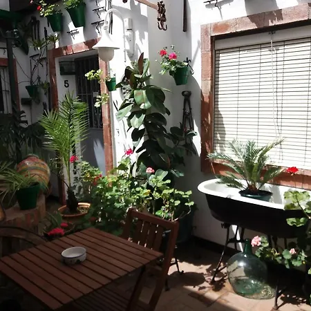 公寓 Casa Museo Jerez Centro