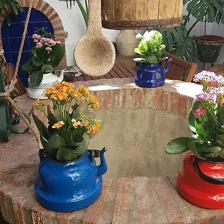 Casa Museo Jerez Centro 公寓 *