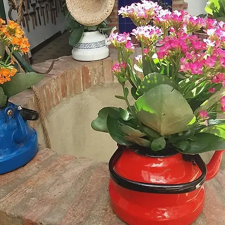 Casa Museo Jerez Centro 公寓