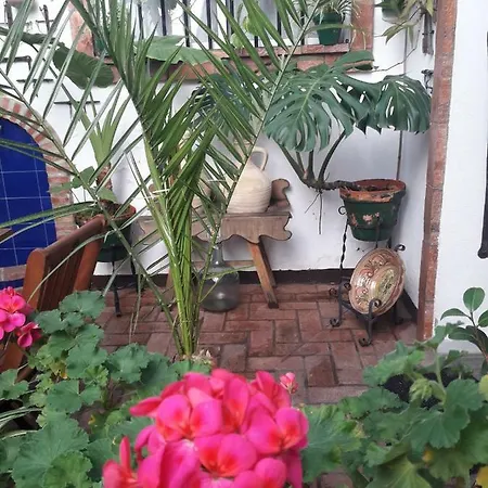 Casa Museo Jerez Centro 赫雷斯