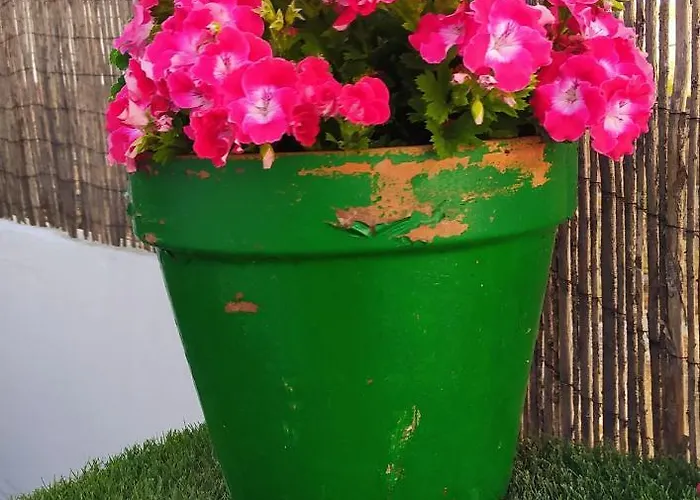 Casa Museo Jerez Centro *