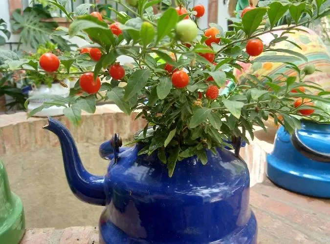 Appartamento Casa Museo Jerez Centro