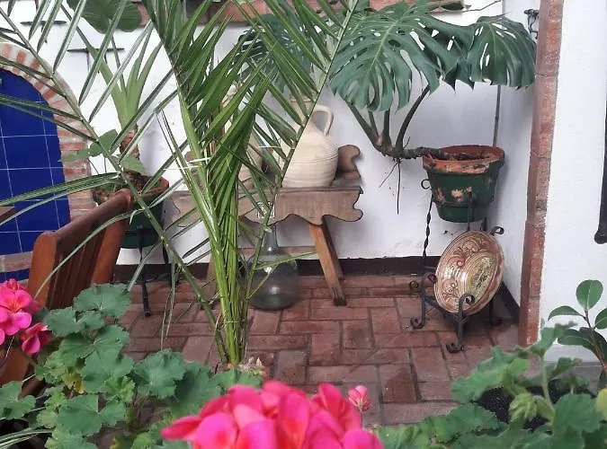 Casa Museo Jerez Centro Херес-де-ла-Фронтера