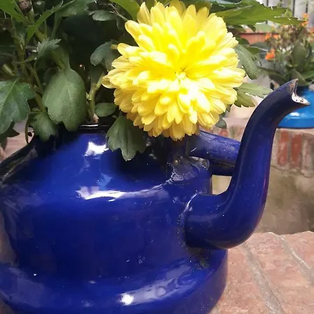 Casa Museo Jerez Centro Διαμέρισμα