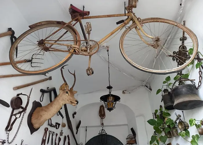 Apartment Casa Museo Jerez Centro Jerez de la Frontera