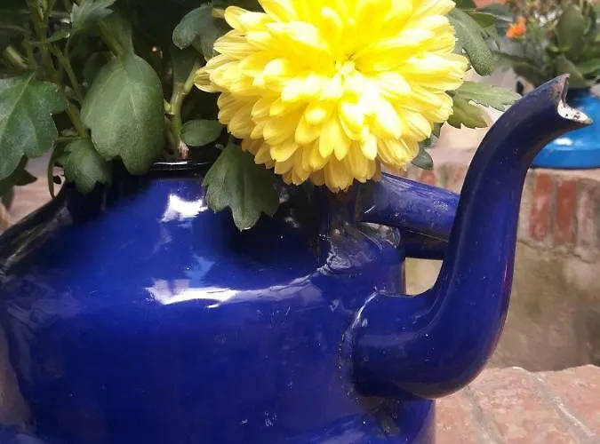 Casa Museo Jerez Centro Apartment